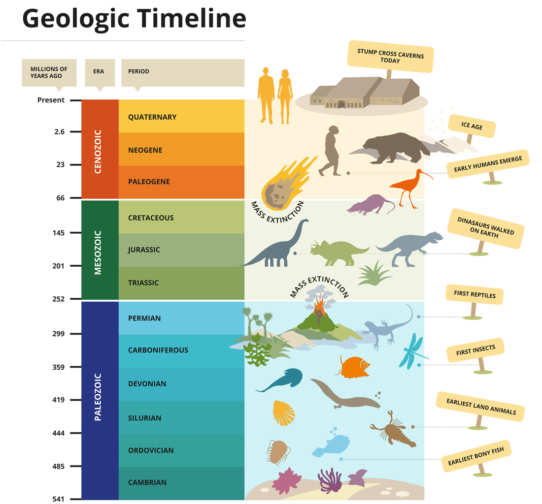 Illustrated Geologic Timeline infographic panel
